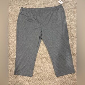 Target- Light Gray pinned striped pants 4X